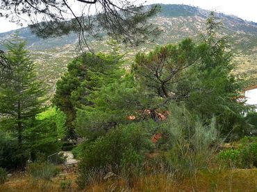 Terreno residencial en venta en Robledo de Chavela