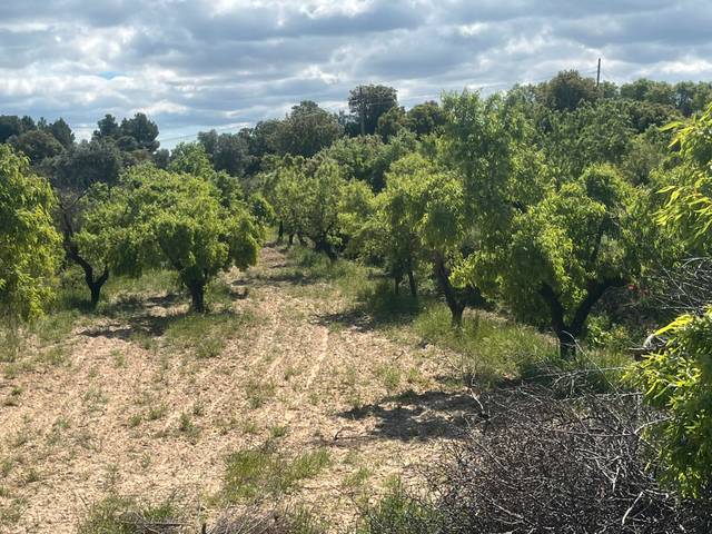 Terreno en Venta en La Fresneda