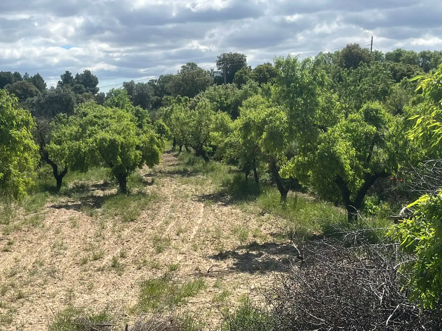 Terreni e lotti in vendita a La Fresneda