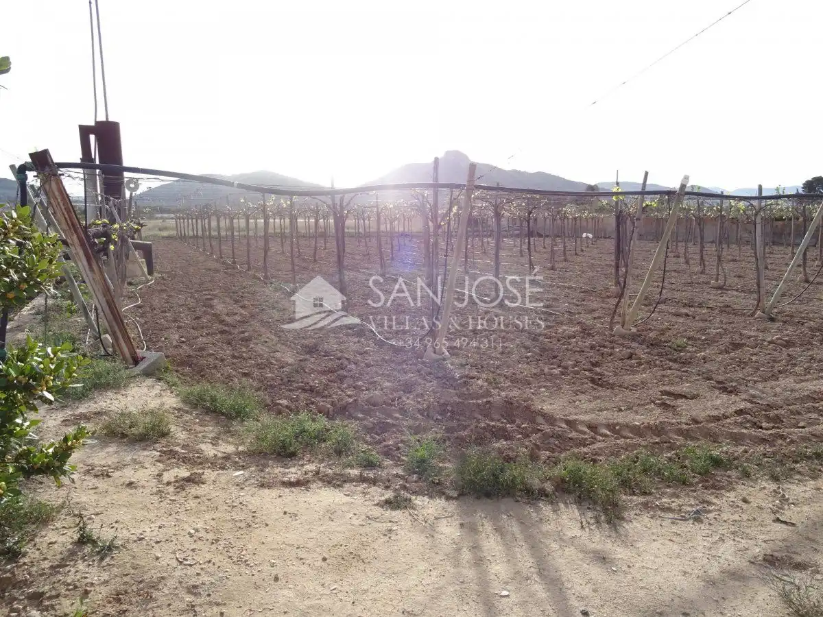 Houses for sale in Aspe  with Storage room