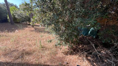 TERRENY URBÀ DE 510 m2 EN VENDA A CAN DALMASES, COLLBATÓ, immagine 5