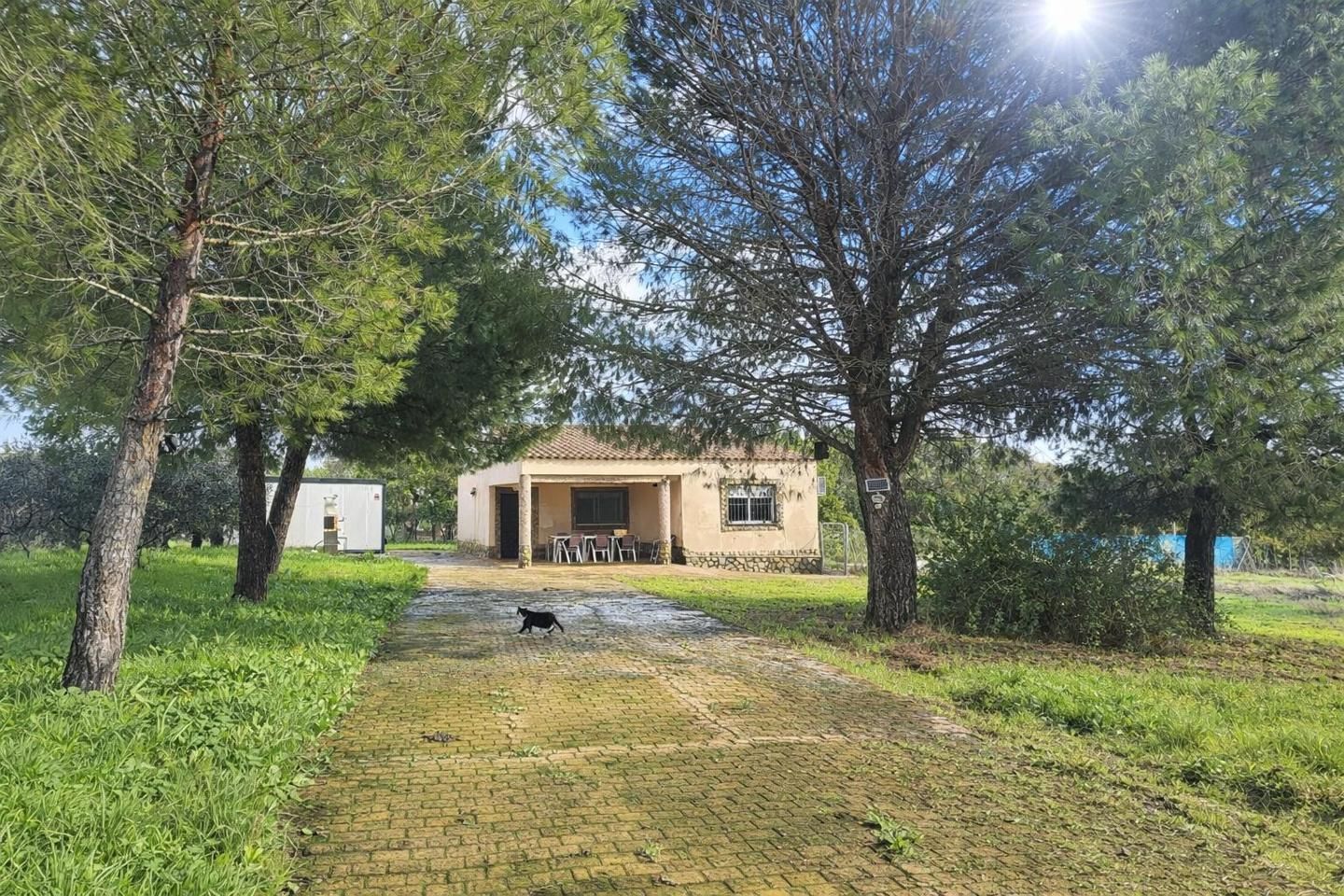 Garden of Country house for sale in Badajoz Capital  with Swimming Pool