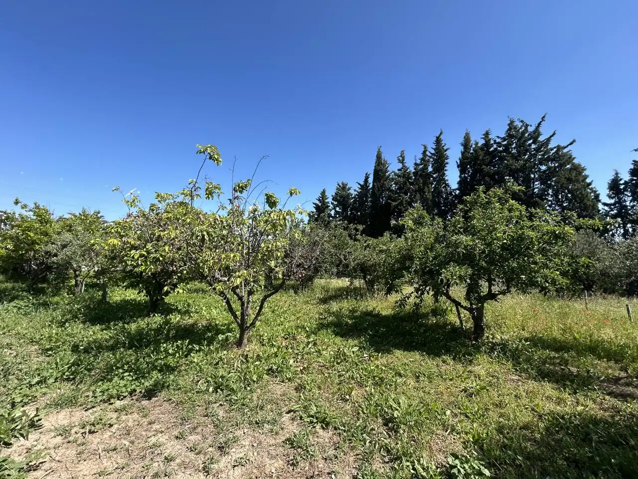 Finca rústica en venda en Tudela amb Piscina