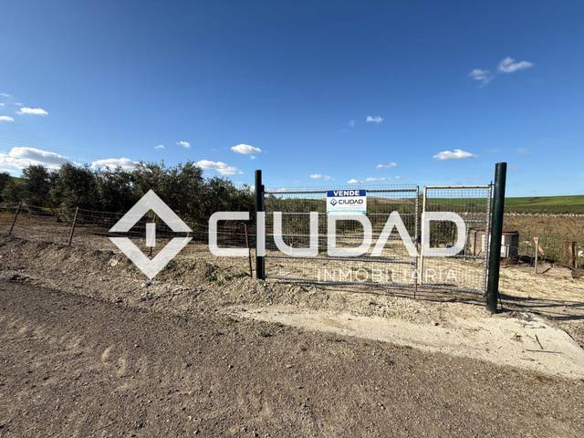 Terreno en Venta en El Cuervo de Sevilla
