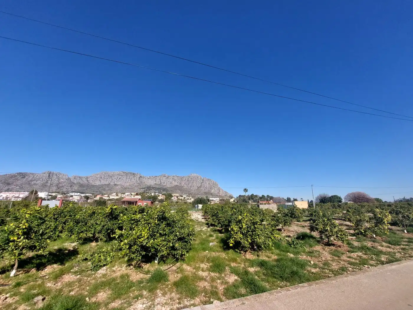 Terreny rústic en venda a Beniarbeig, imagen 14