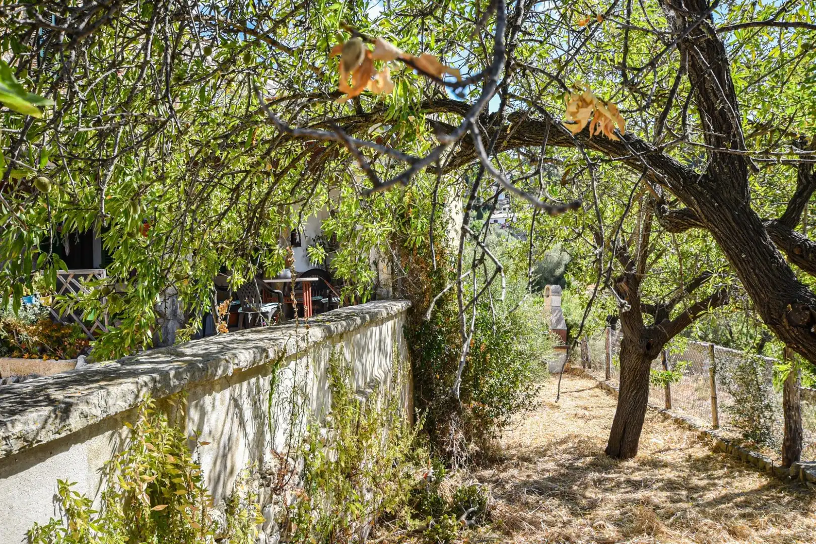 Planta baja en venta en Puigpunyent