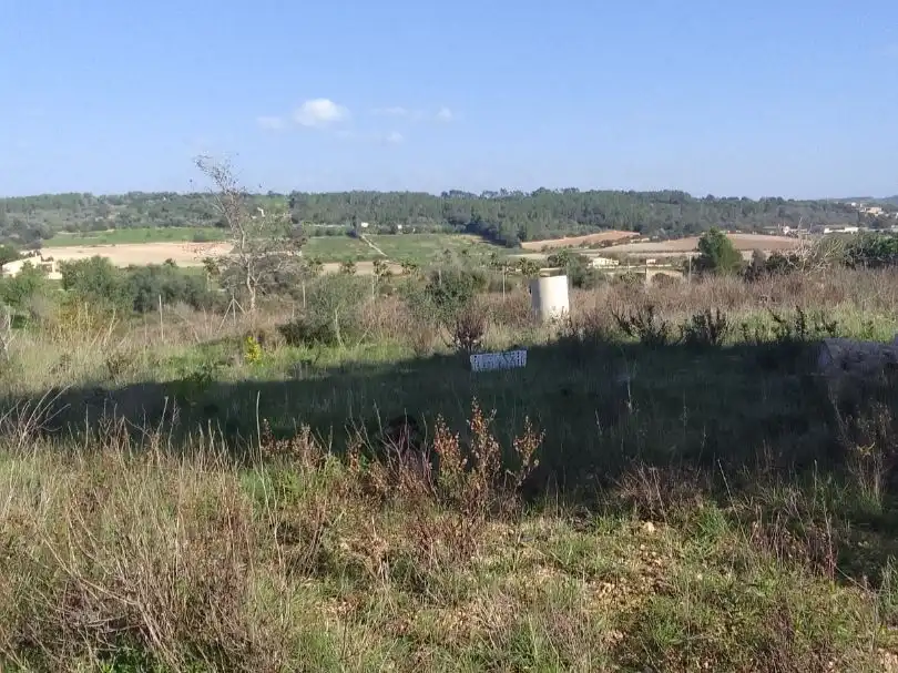 Terreno rustico in vendita a Son Manera 9, imagen 8