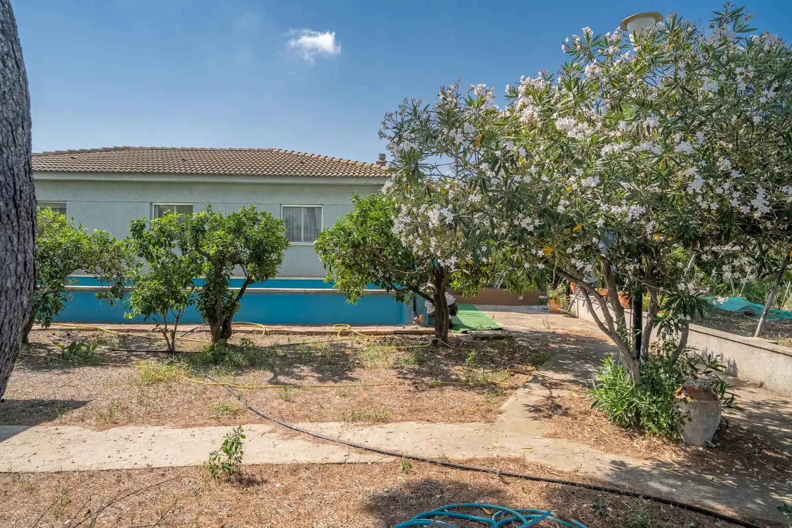 Jardín de Finca rústica en venta en Riudoms con Calefacción y Jardín privado