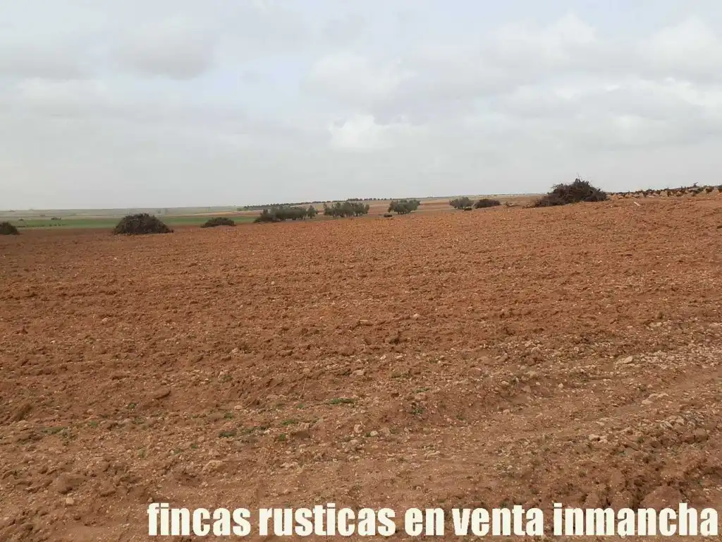 Terreno rustico in vendita a Alcázar de San Juan, imagen 13