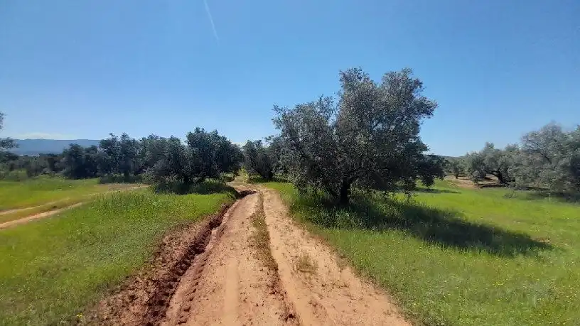 Terreni e lotti in vendita a Calle Polg. Sorihuela del Guadal, imagen 5