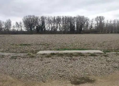Terreny rústic en venda a C/ Paraje Las Raicillas- Las Peñuelas, imagen 6