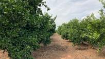 Land for sale in Nules