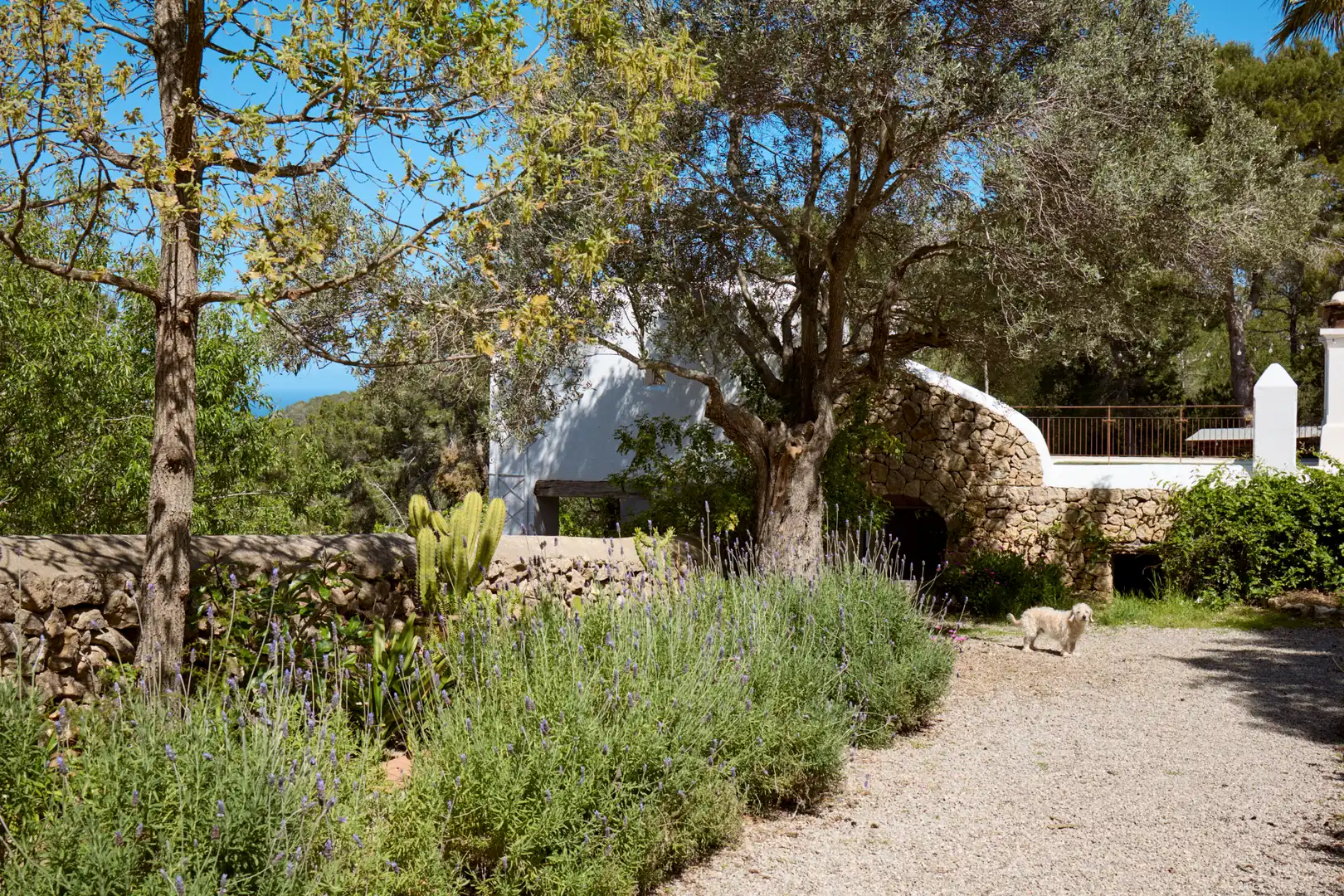 Jardí de Finca rústica en venda en Sant Joan de Labritja amb Aire condicionat, Jardí privat i Parquet