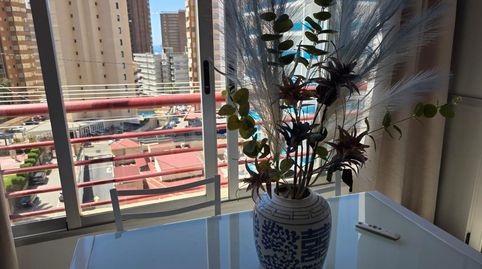 Foto 2 de Piso en venta en Calle Londres, Rincón Alto, Benidorm