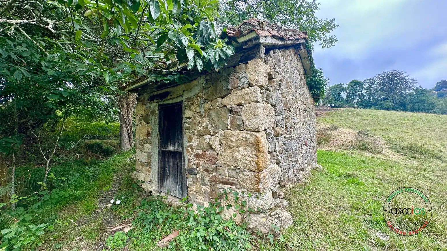 Terreno rustico in vendita a Cabranes - TORAZO