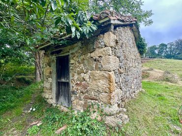 Terreno rustico in vendita a Cabranes - TORAZO