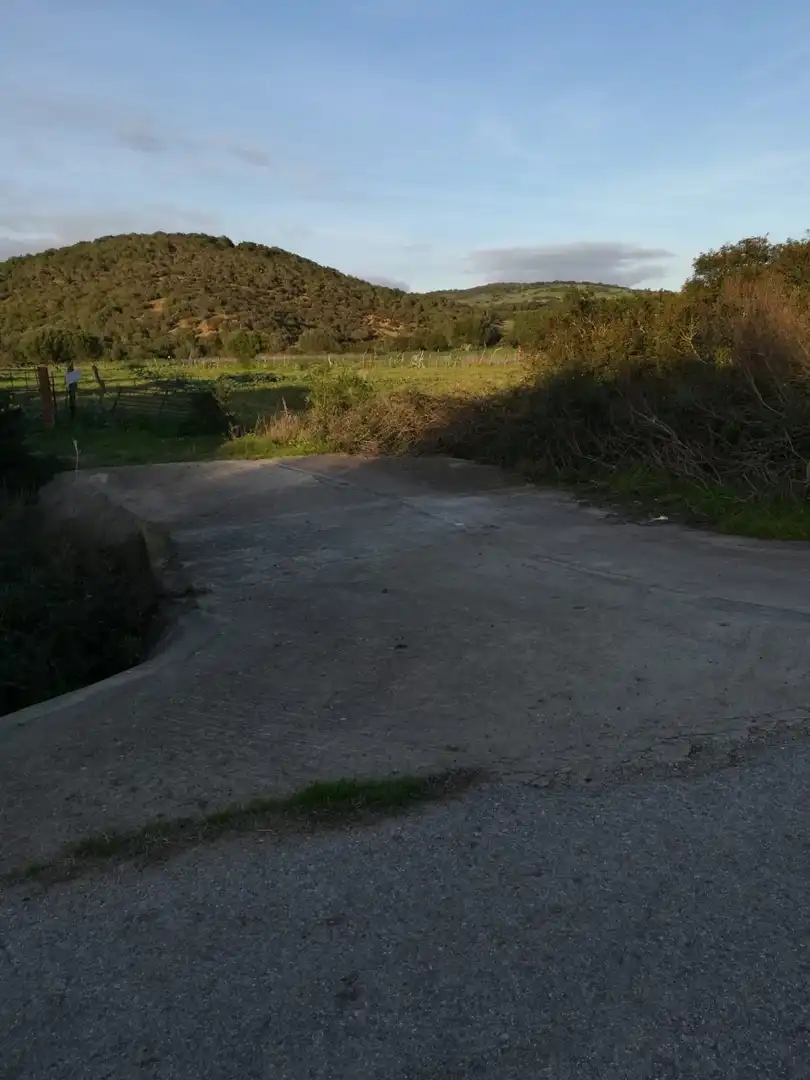 Terreny rústic en venda a Medina Sidonia
