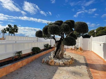 Casa a schiera con piscina in vendita a Calle Barlovento