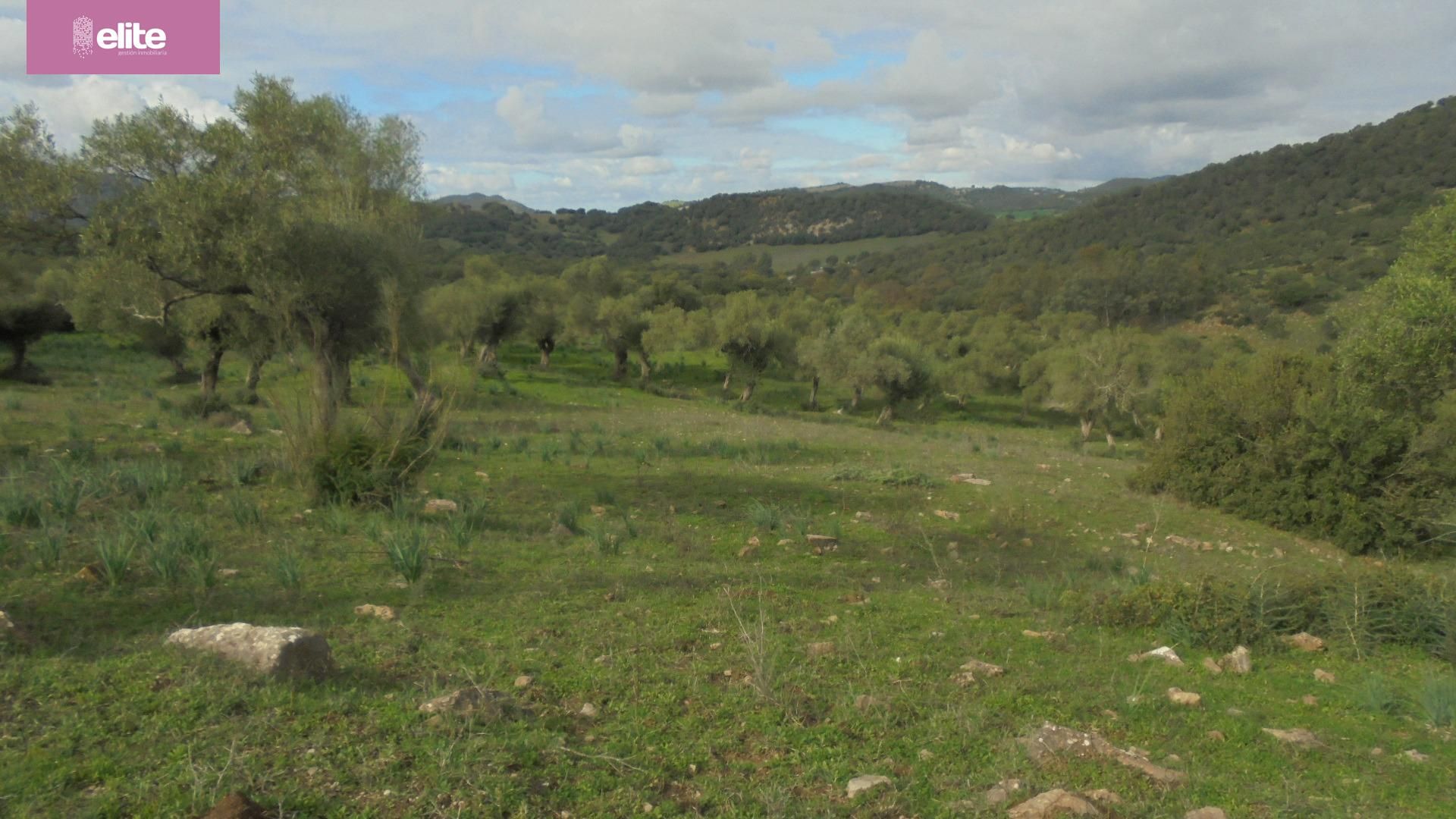 Country house for sale in Santiago - Coronación
