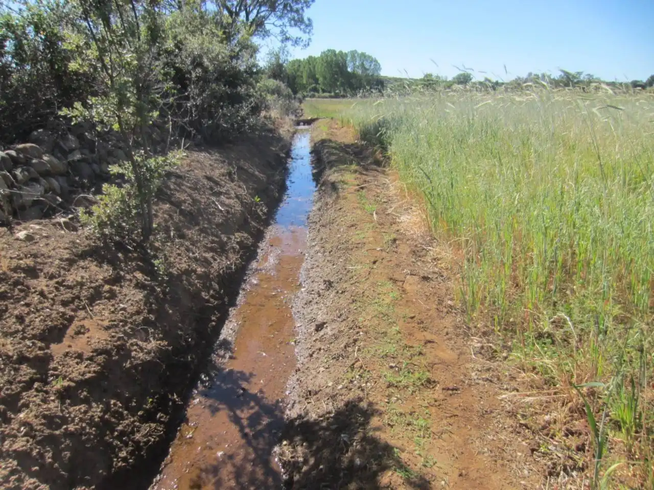 Terreno rustico in vendita a Calle RONDA DEL MEDIODIA, imagen 44