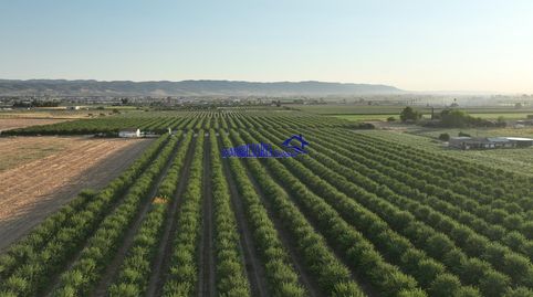 Foto 5 de Finca rústica en venda a Encinarejo de Córdoba, Córdoba Capital