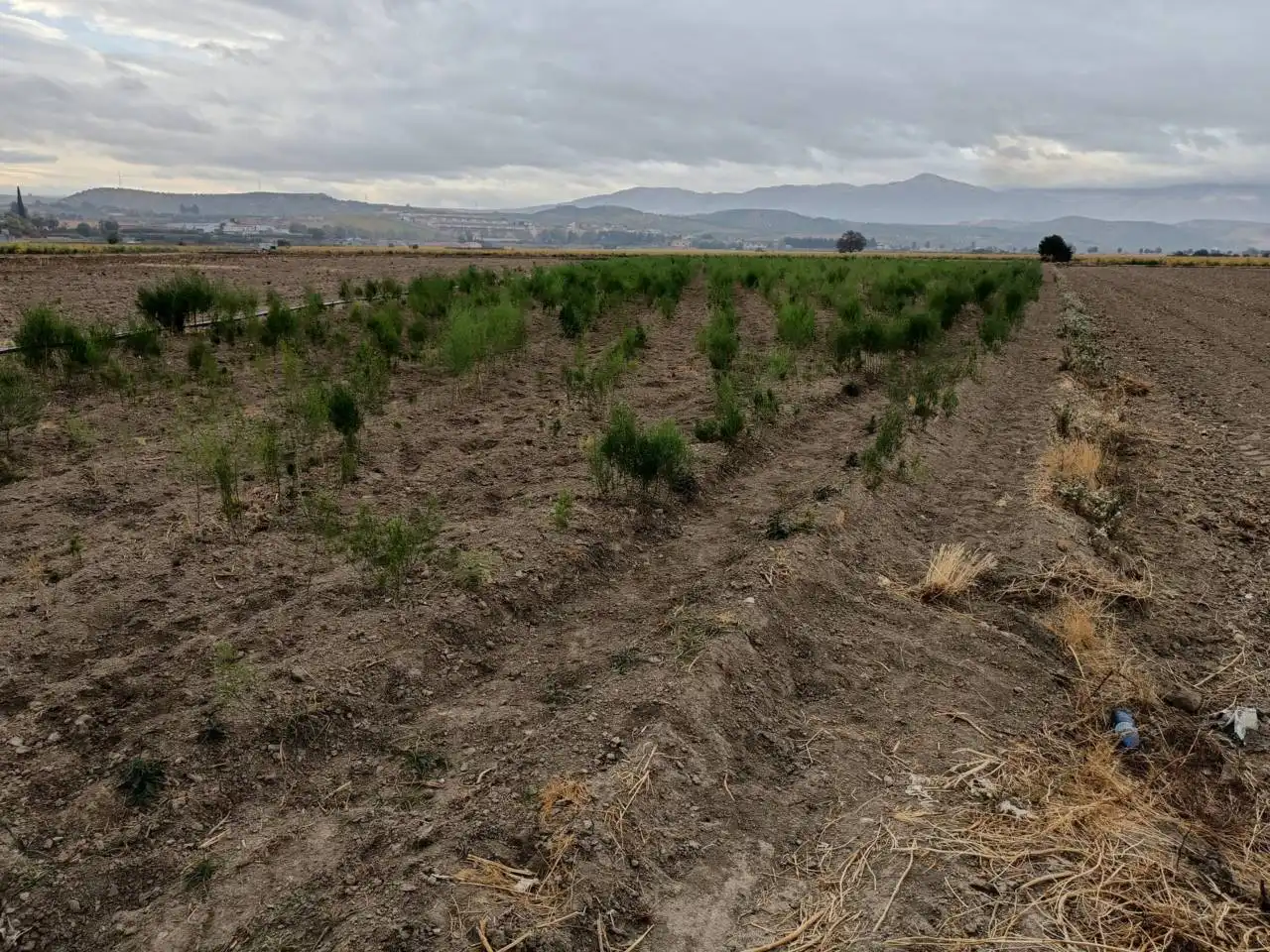 Rural land for sale in Huétor Tájar