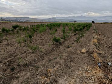 Rural land for sale in Huétor Tájar