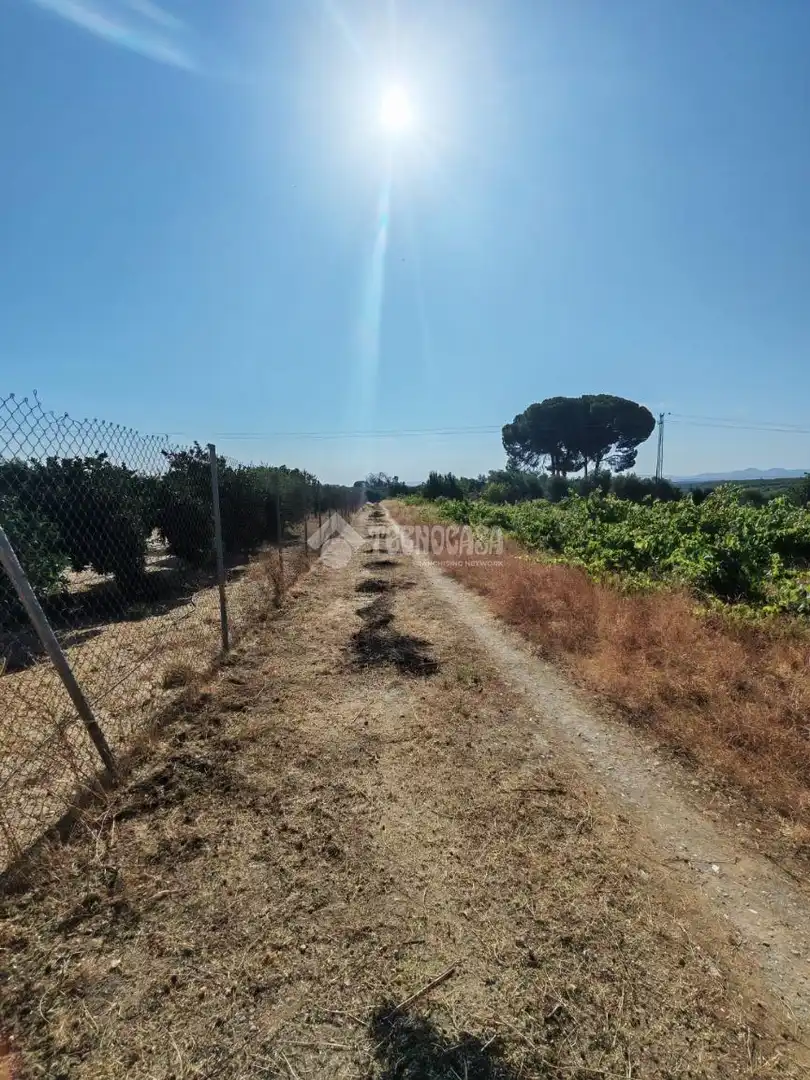 Terreno en venta en Marchena