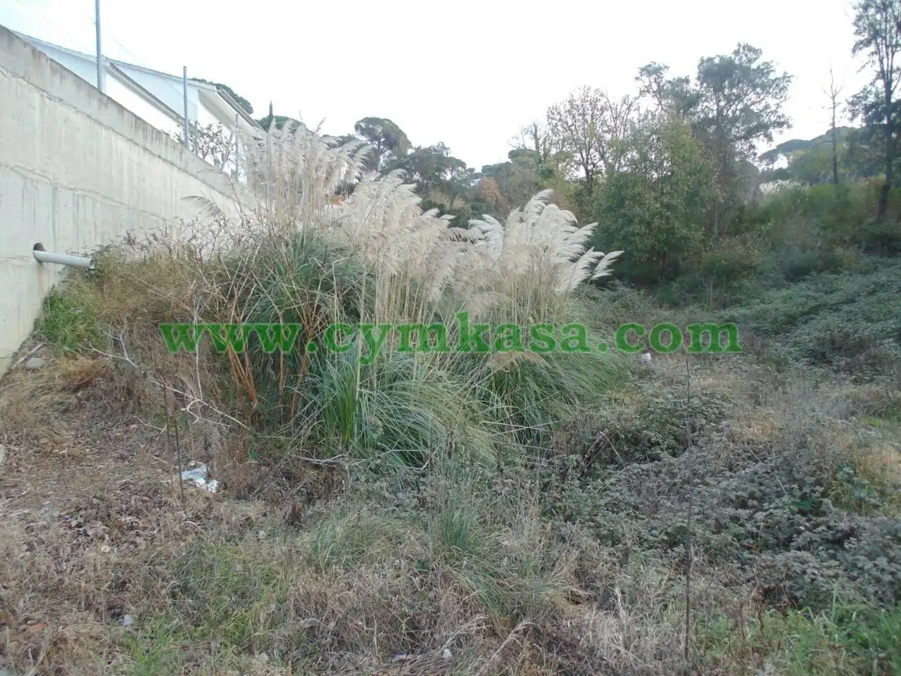 Terreny residencial en venda a Mas Altaba - El Molí, imagen 3