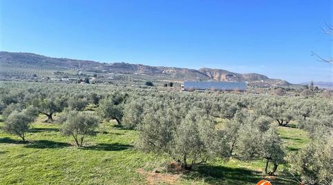 Photo 3 of Residential for sale in Doctor Diego Aragón, Fuentemora, Málaga