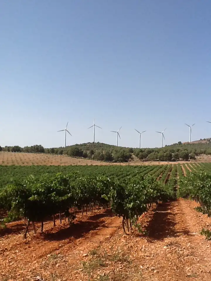 Terreno rustico in vendita a Pozohondo