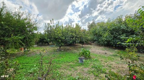 SE VENDE CASA RUSTICA EN ZONA  LOS TORRAOS CEUTI, imatge 3
