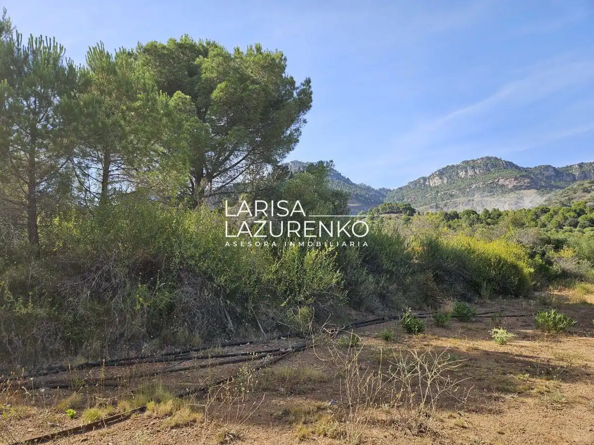 Finca rústica en venta en Alforja