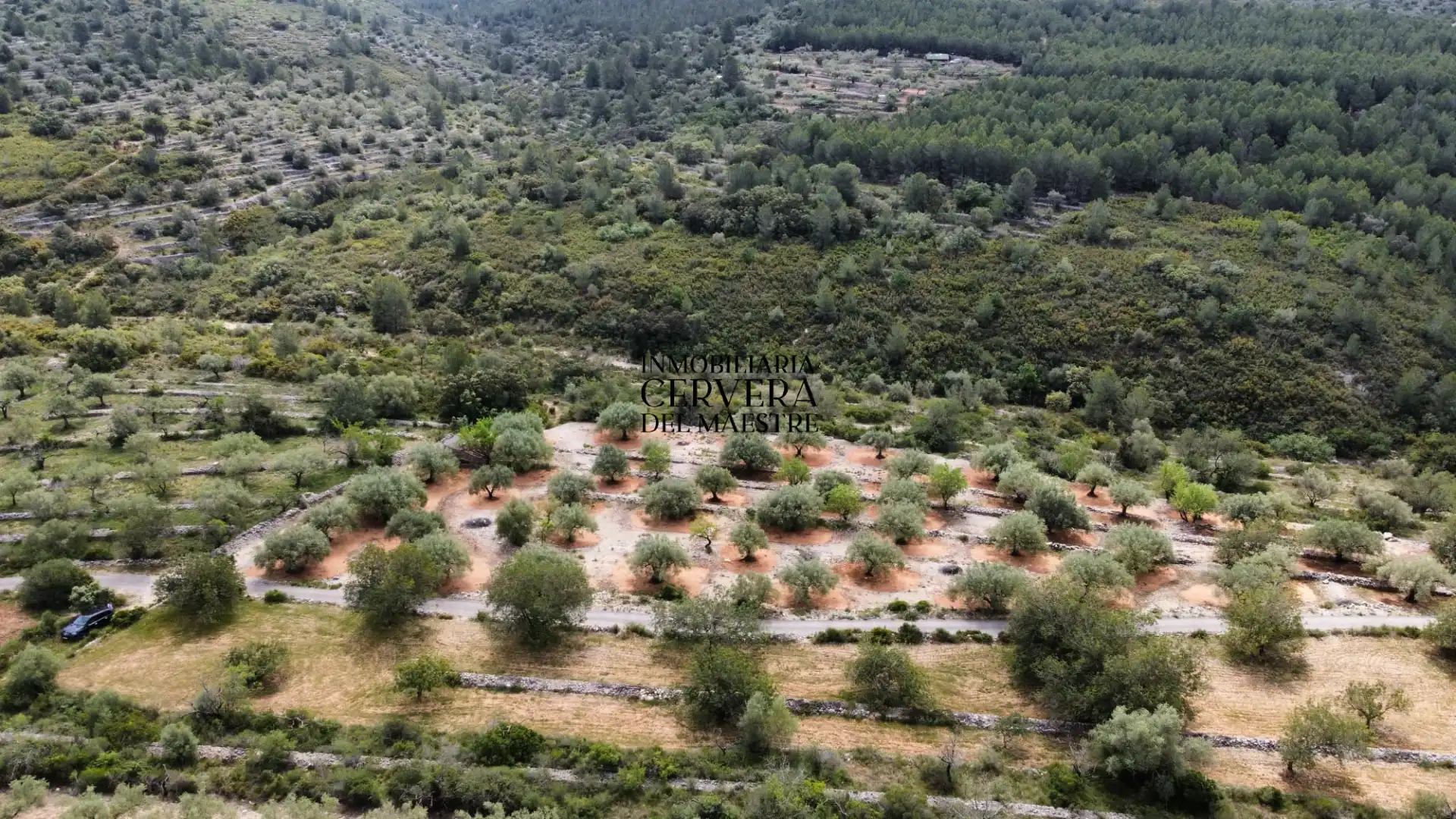 Terreno rustico in vendita a Cervera del Maestre, imagen 28