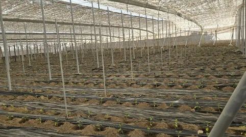 Foto 5 de Finca rústica en venta en Avenida Buenos Aires, 12, Santo Domingo, El Ejido