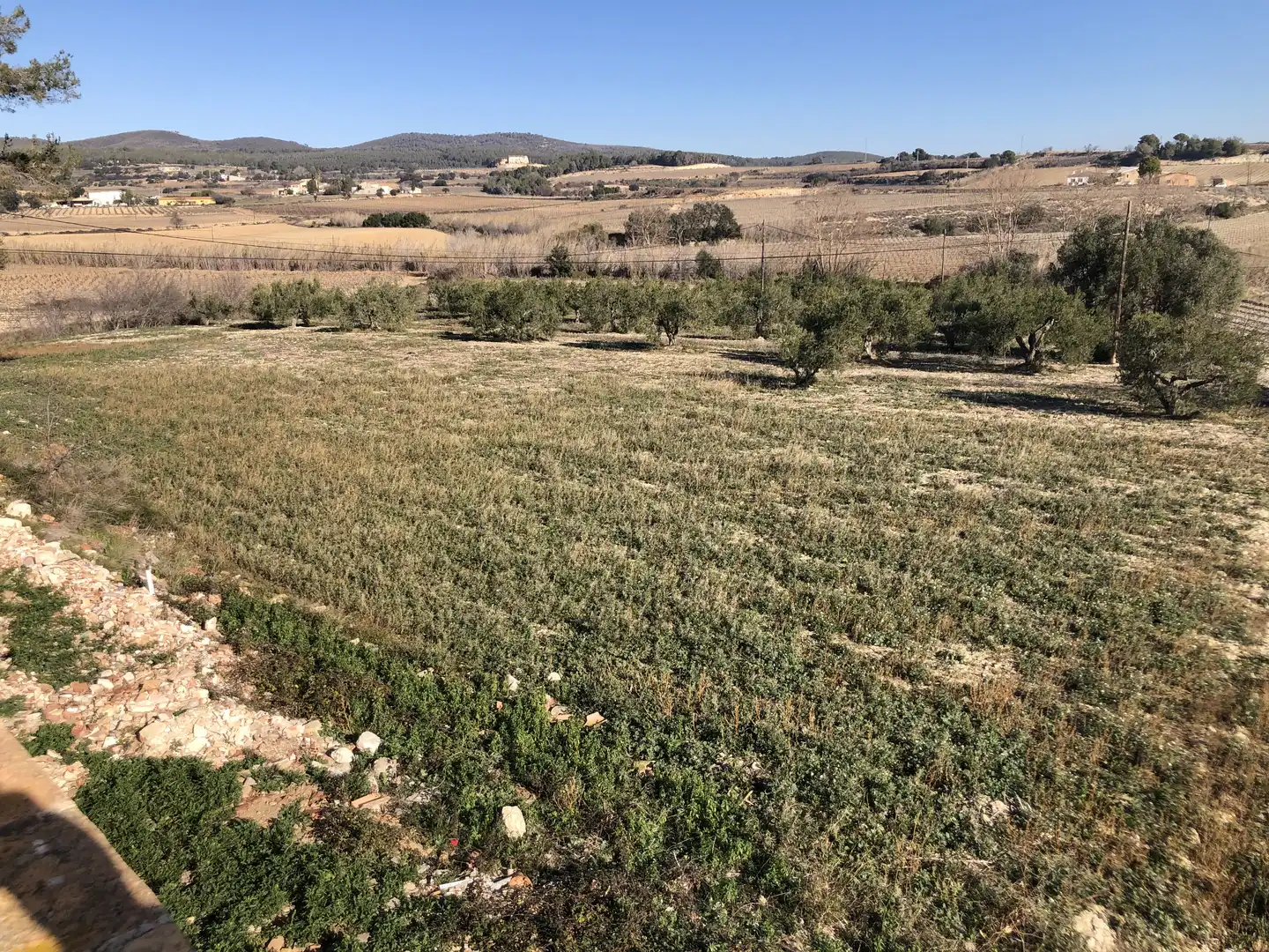 Finca rústica en venta en Castellví de la Marca