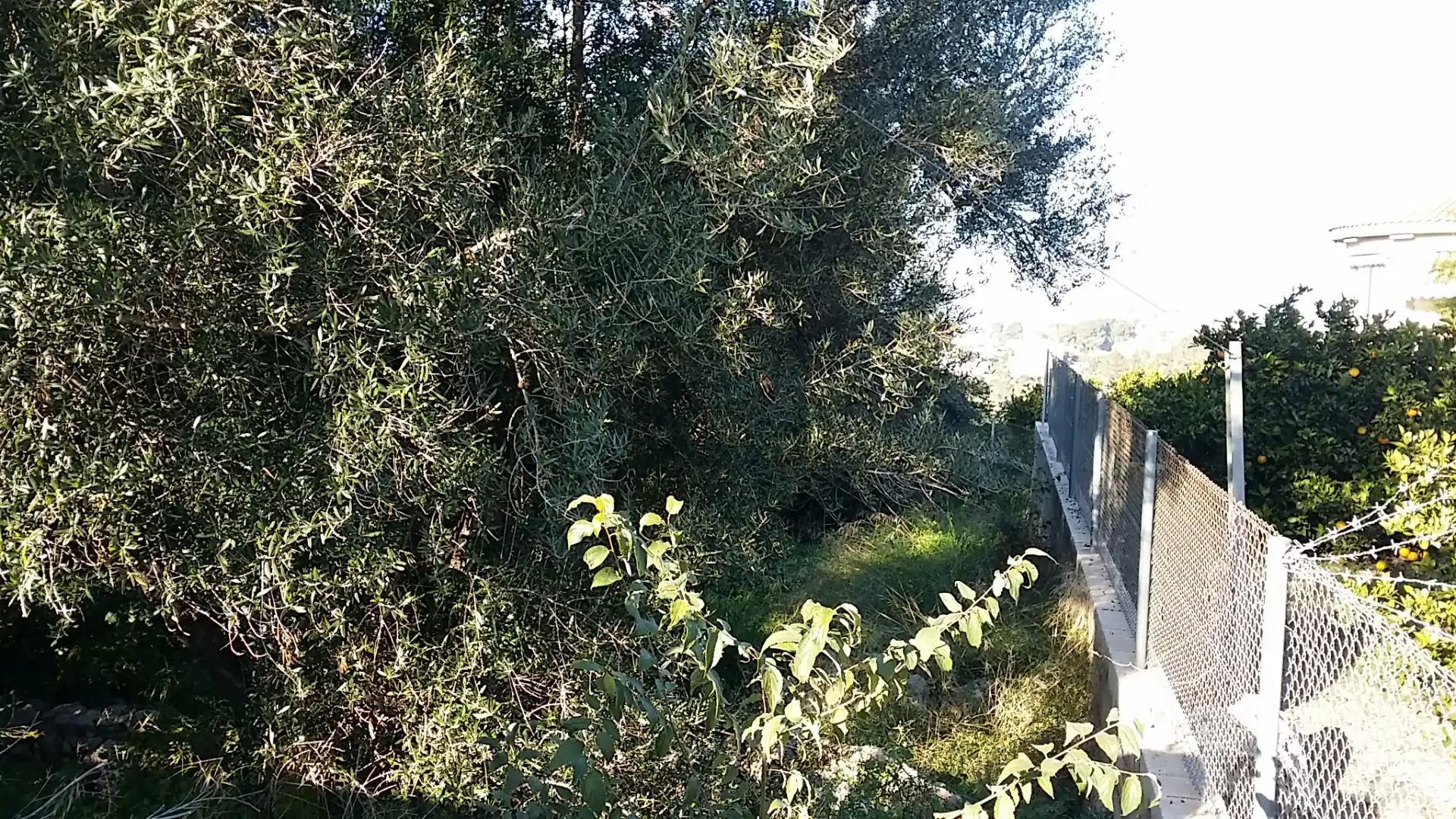 Terreno residencial en venta en Urbanitzacions i Pedanies Nord, imagen 4