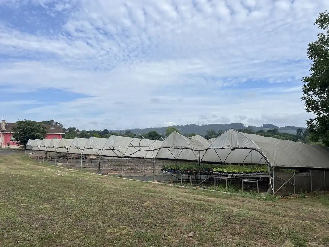 Terrenys i solars en venda a Llanera, imagen 14