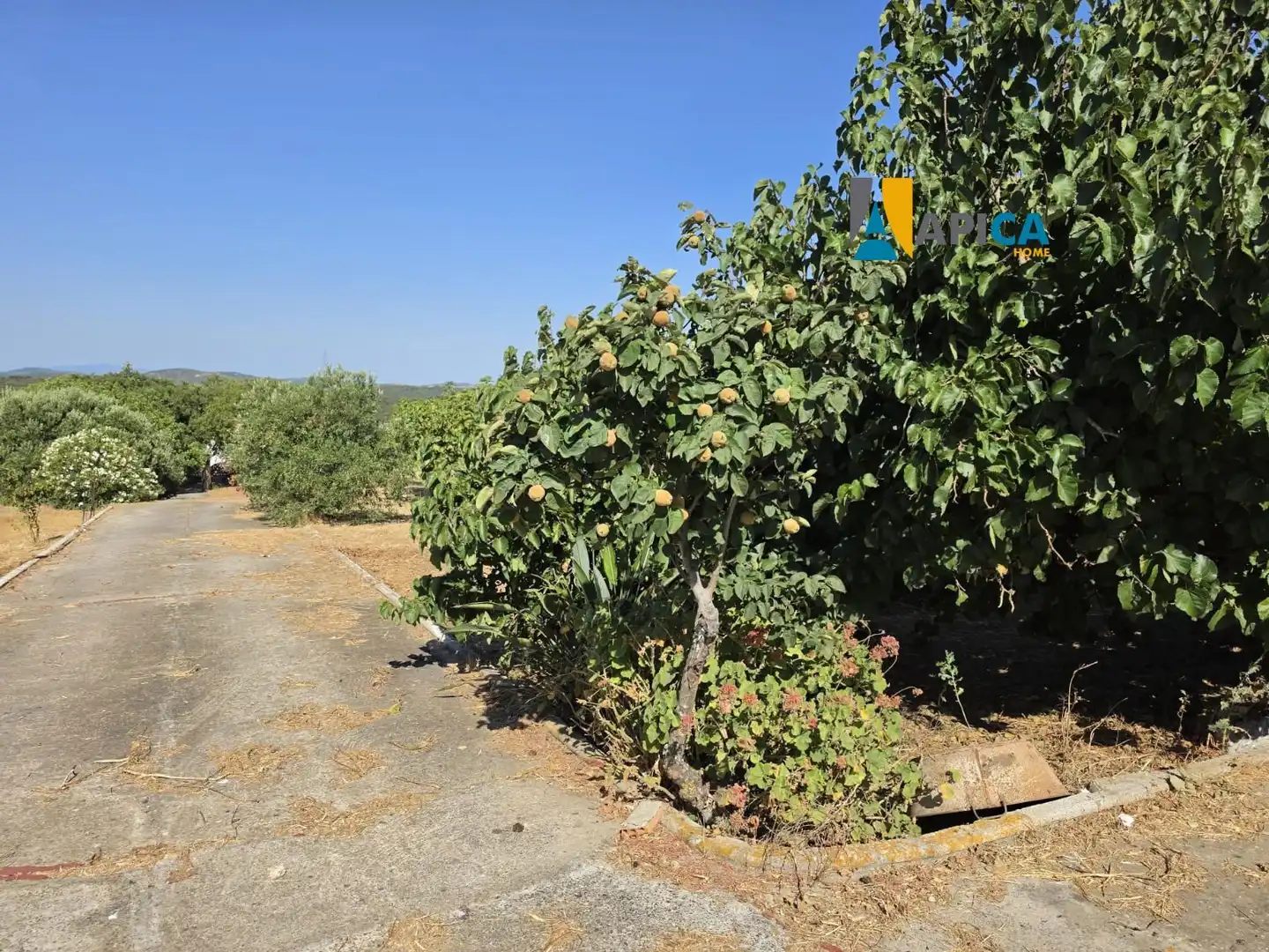 Houses for sale in Chiclana de la Frontera  with Terrace and Furnished