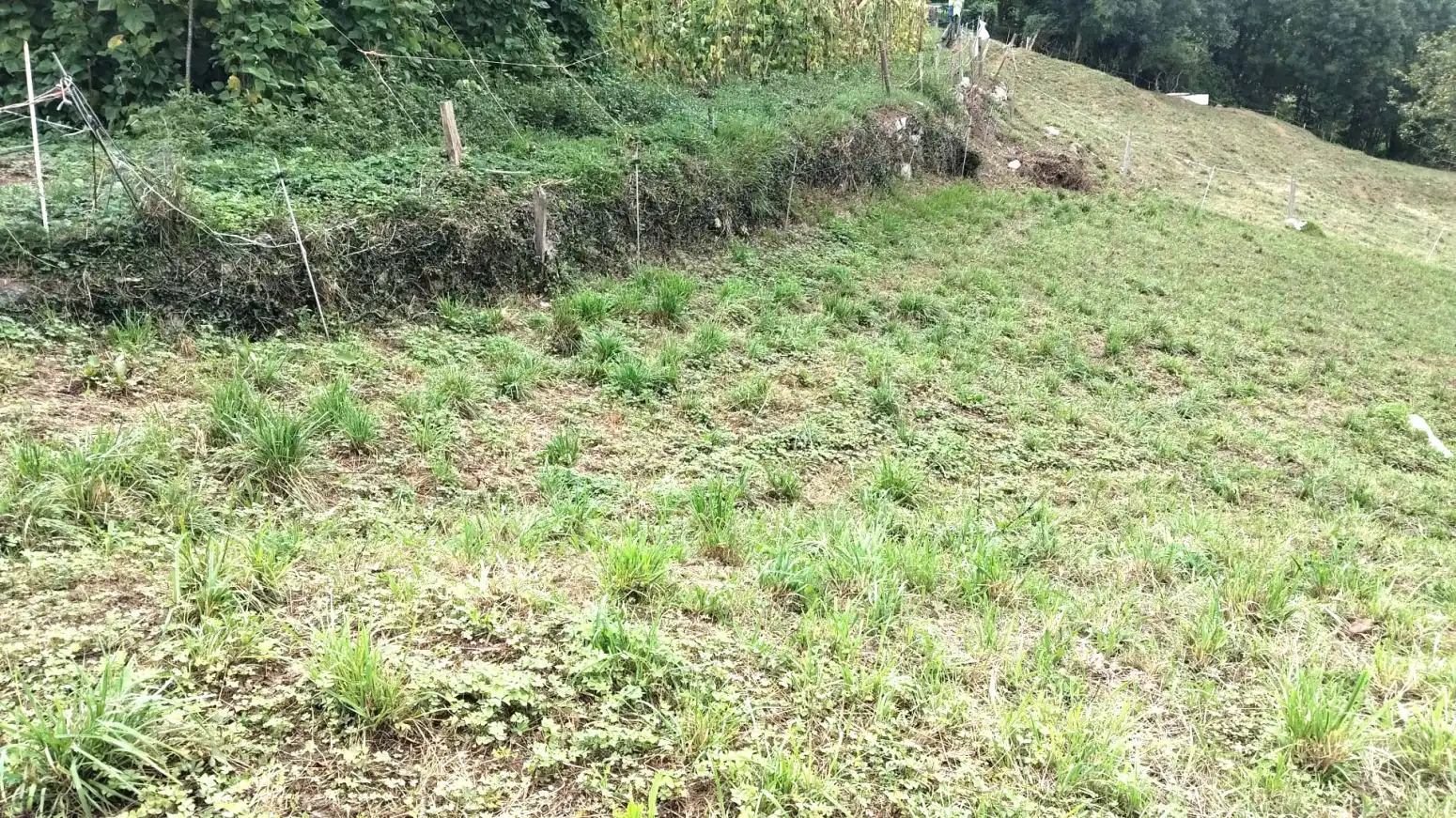 Terreny residencial en venda a Rionansa - BO OBESO, imagen 6