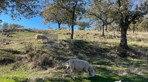 Foto 2 de Casa o chalet en venta en Diseminados Carrascal, Trujillo, Cáceres