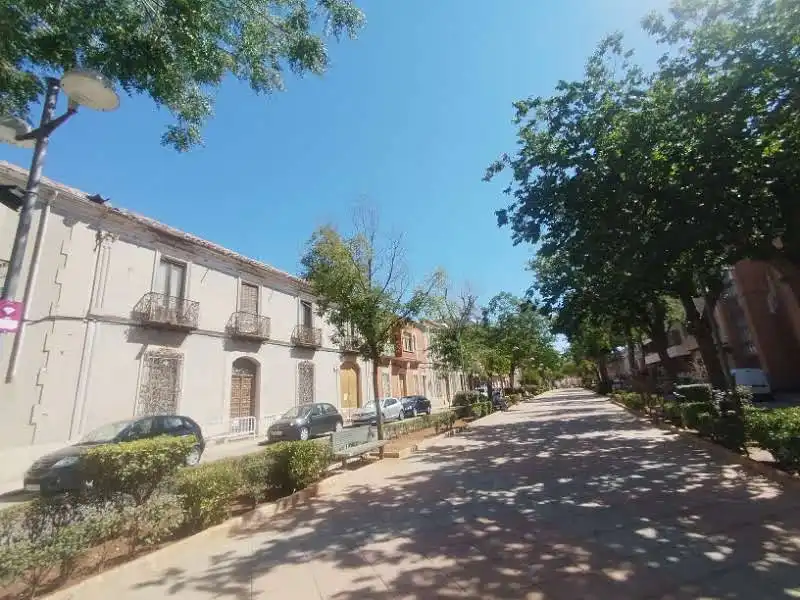 Maison à vendre à Paseo la Estación, imagen 3