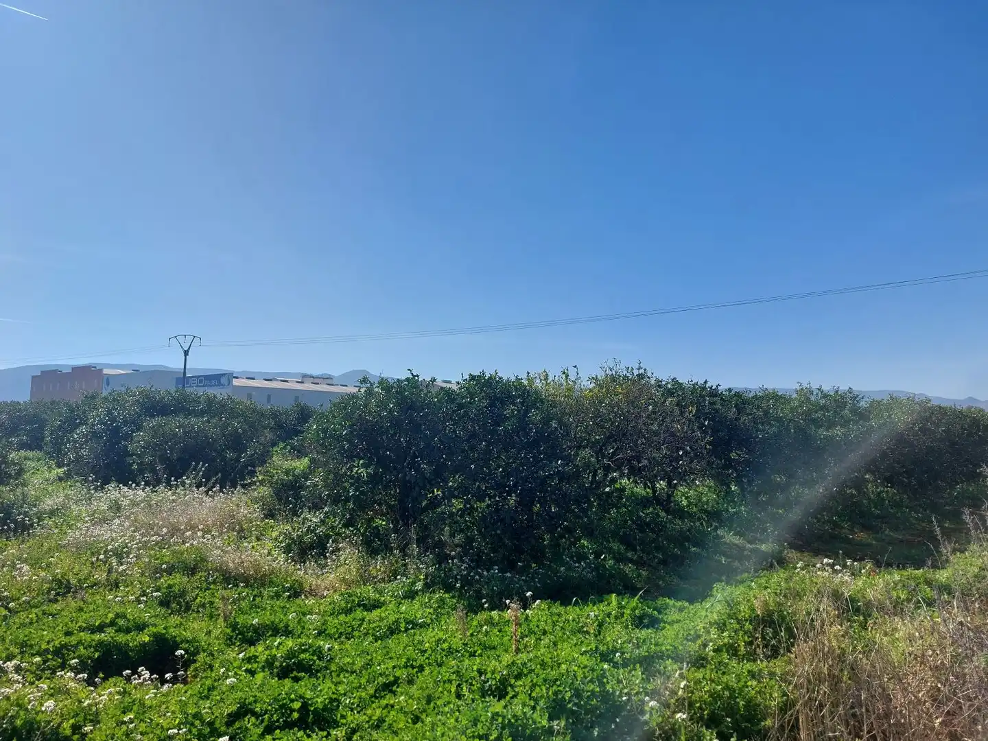 Rural land for sale in Beniarbeig, imagen 4