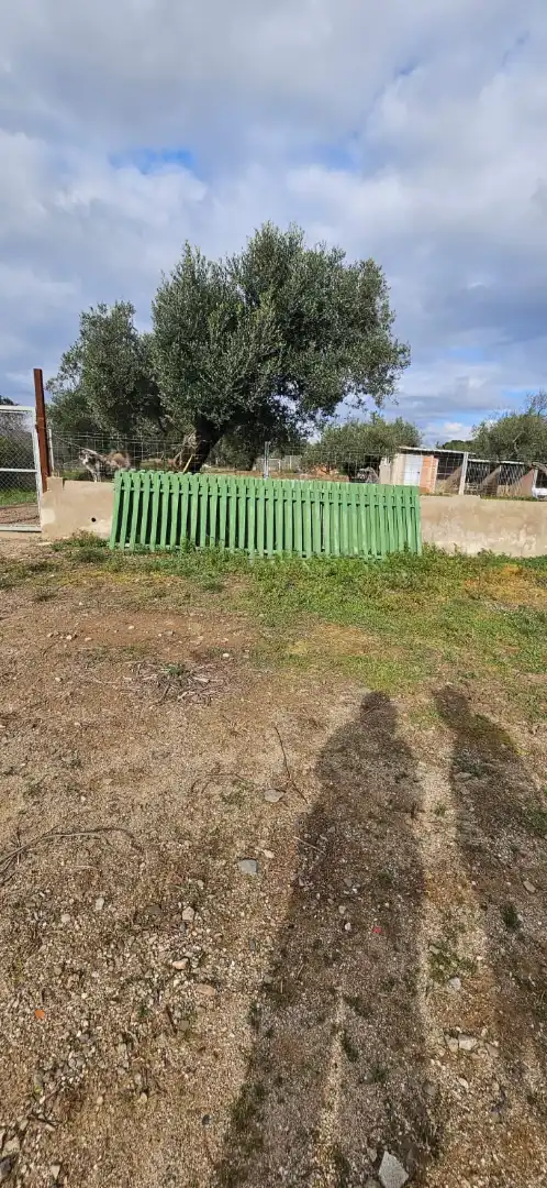 Finca rústica en venta en Botarell con Jardín privado, Trastero y Amueblado