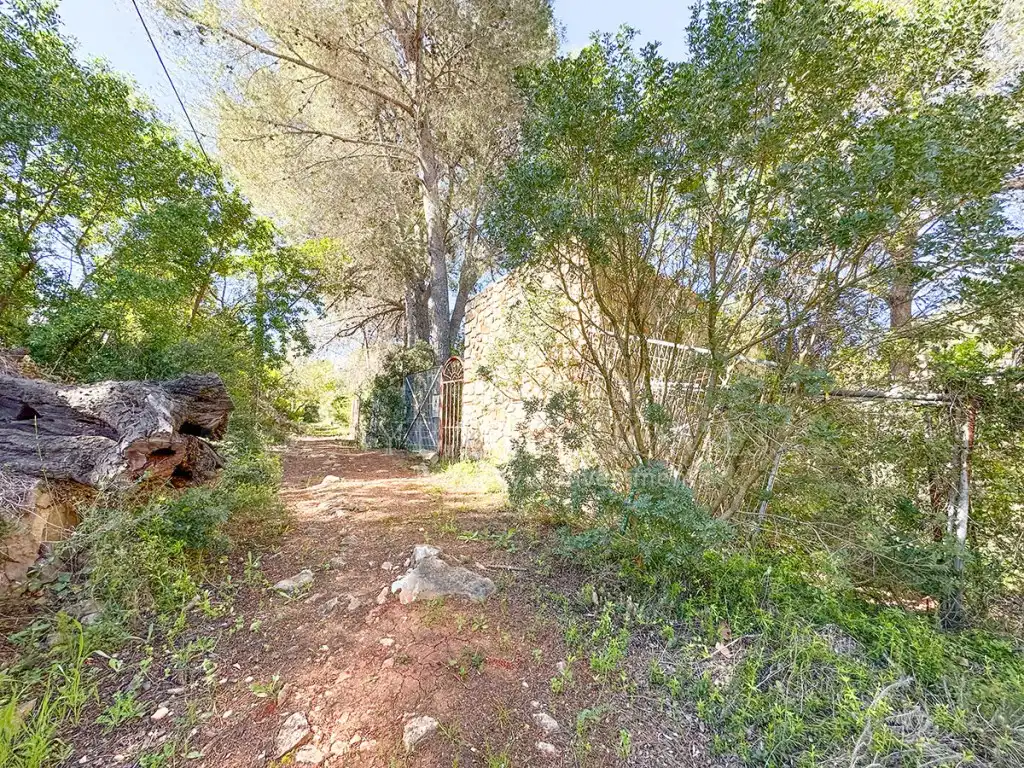 Maison à vendre à Poligono 3 Paraje 81 Pla De L'Horta, imagen 56