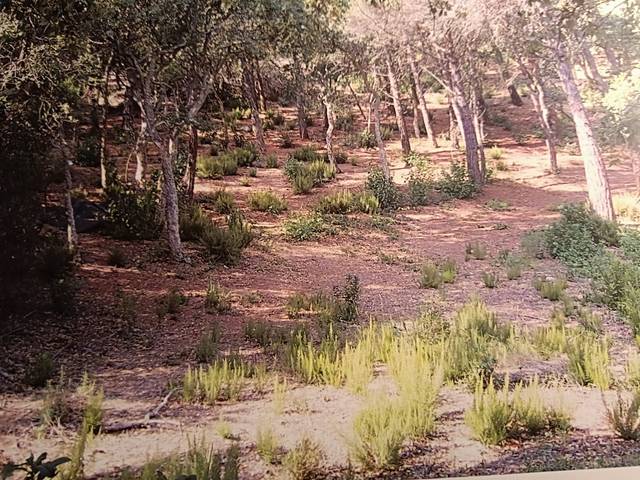 Terreno residencial en Venta en Carrer dels Pardals en Serra Brava