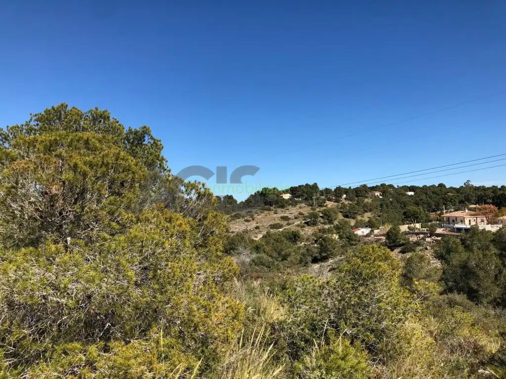 Terreno residencial en venta en Alberic, imagen 3