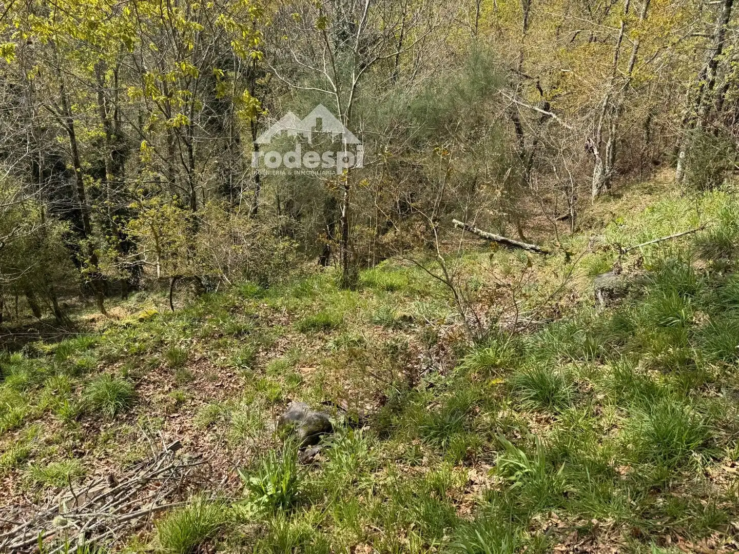Rural land for sale in Arbo, imagen 5