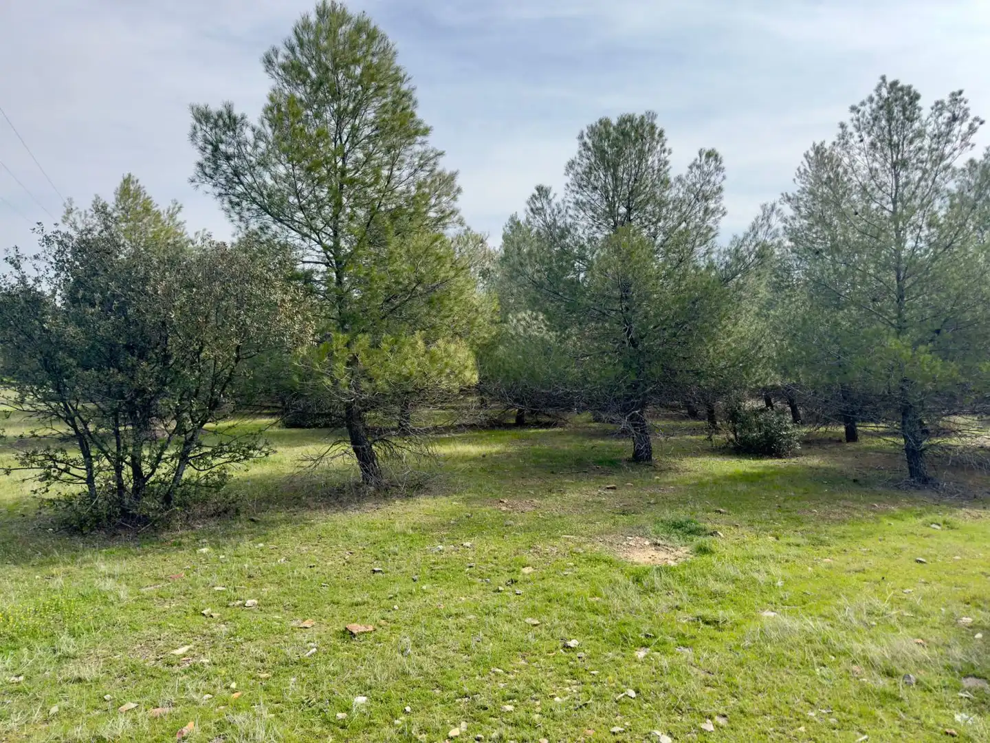 Casa rústica amb terrassa en venda a Torrenueva, imagen 47