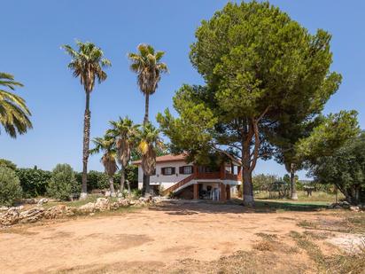 Jardí de Casa o xalet en venda en Bétera amb Aire condicionat, Terrassa i Piscina